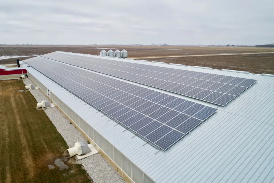 Two long rows of solar panels on the roof of an agricultural building with open farmland behind